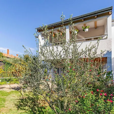 2 Bedroom Gorgeous In Daire